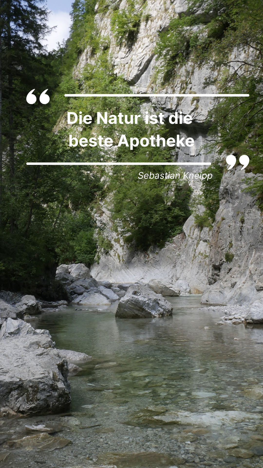 Ruhiger Gebirgsbach mit Zitat von Sebastiane Kneipp
