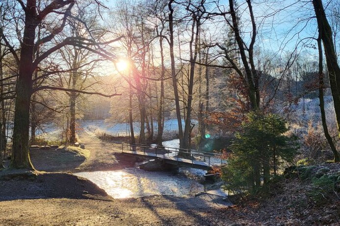 winterliches Abendlicht fällt durch die Bäume auf einen Fluss