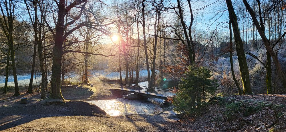 winterliches Abendlicht fällt durch die Bäume auf einen Fluss